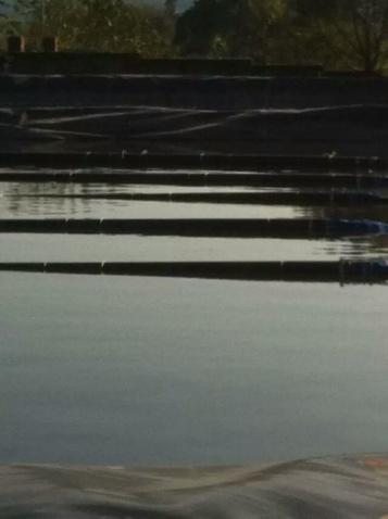 �㽭���̌������Ғ���ؚ���